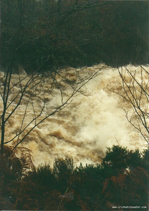  Avonmore (Annamoe) River - little jacksons, 300 on gauge nov 2000