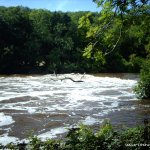 Photo of the Liffey river in County Dublin Ireland. Pictures of Irish whitewater kayaking and canoeing. wrens nest weir mega water aug 08.