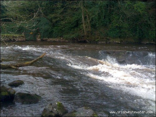  Ulster Blackwater (Benburb Section) River - the V weir.