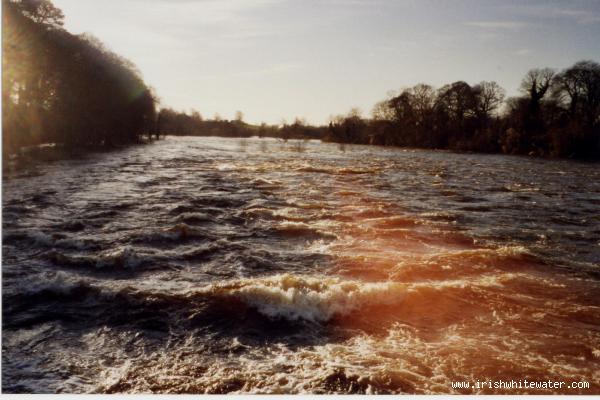  Lower Shannon (Castleconnell) River - View of flooded Shannon