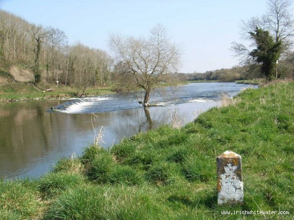  Boyne River - Taaffes Lock Weir