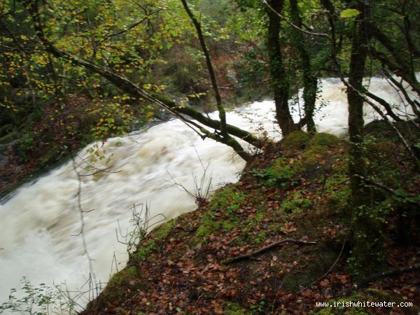  Glengarriff River - canrooska tributary