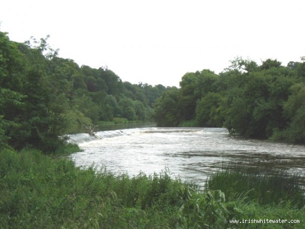  Boyne River - Carrickexter. A weir Medium Water