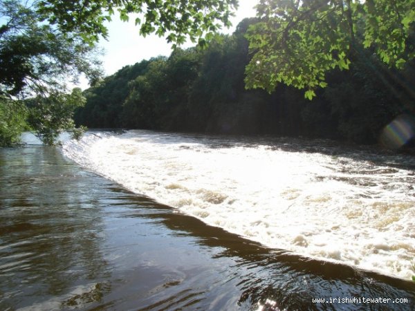  Boyne River - Weir at Dollardstown