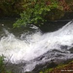 Photo of the Woodstock Falls (Inistioge) in County Kilkenny Ireland. Pictures of Irish whitewater kayaking and canoeing. Pool at bottom of 2nd fall. Photo by Adrian S