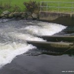 Photo of the Mahon river in County Waterford Ireland. Pictures of Irish whitewater kayaking and canoeing. Pumping station @  52° 9'41.50