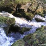Photo of the Glencree river in County Wicklow Ireland. Pictures of Irish whitewater kayaking and canoeing.
