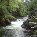 Photo of the Clodiagh river in County Waterford Ireland. Pictures of Irish whitewater kayaking and canoeing. Photo by Michael Flynn