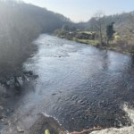 Photo of the Avonmore (Rathdrum to the Meetings) river in County Wicklow Ireland. Pictures of Irish whitewater kayaking and canoeing. Put in at Rathdrum bridge - just about runnable - see gravel beds river right. Photo by David Maguire 
