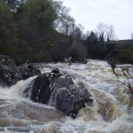 Photo of the Flesk river in County Kerry Ireland. Pictures of Irish whitewater kayaking and canoeing. High water solo mission (around 4 on guage). Photo by Rob Coffey