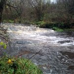 Photo of the Bannagh river in County Fermanagh Ireland. Pictures of Irish whitewater kayaking and canoeing. Put in  part of Drummany falls . Photo by Caolan