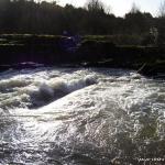 Photo of the Maigue river in County Limerick Ireland. Pictures of Irish whitewater kayaking and canoeing. bruree 4. Photo by tom