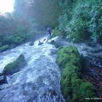 Photo of the Owennashad river in County Waterford Ireland. Pictures of Irish whitewater kayaking and canoeing. ist main drop after the 3 arched bridge, photo take from under the middle arch. Photo by michael flynn