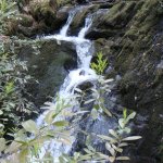 Photo of the Woodstock Falls (Inistioge) in County Kilkenny Ireland. Pictures of Irish whitewater kayaking and canoeing.