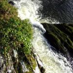 Photo of the Upper Bandon river in County Cork Ireland. Pictures of Irish whitewater kayaking and canoeing. BIG DROP, LEFT CHANNEL @ -0.1M. Photo by Dave P