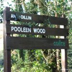  Glengarriff River - Pooleen Wood, Put In