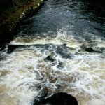 Photo of the Owenriff river in County Galway Ireland. Pictures of Irish whitewater kayaking and canoeing. Downstream of the footbridge. Photo by S. Molloy