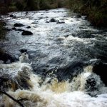 Photo of the Owenriff river in County Galway Ireland. Pictures of Irish whitewater kayaking and canoeing. Upstream of the footbridge. Photo by S. Molloy