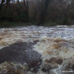 Photo of the Bannagh river in County Fermanagh Ireland. Pictures of Irish whitewater kayaking and canoeing. Barb wire fence sometimes present. Photo by patrick