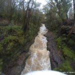 Photo of the Clare Glens - Clare river in County Limerick Ireland. Pictures of Irish whitewater kayaking and canoeing. High water!. Photo by Barry Loughnane