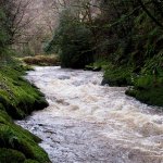 Photo of the Colligan river in County Waterford Ireland. Pictures of Irish whitewater kayaking and canoeing. entry to gorge above and first rapid/drop high water. Photo by Michael Flynn