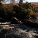 Photo of the Avonmore (Annamoe) river in County Wicklow Ireland. Pictures of Irish whitewater kayaking and canoeing. Jacksons Panorama. Photo by Kyle Tunney