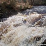 Photo of the Avonmore (Annamoe) river in County Wicklow Ireland. Pictures of Irish whitewater kayaking and canoeing. Jacksons, Medium water
. Photo by eoinor