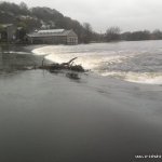 Photo of the Lee river in County Cork Ireland. Pictures of Irish whitewater kayaking and canoeing. tree stuck on weir high water. Photo by John