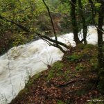 Photo of the Glengarriff river in County Cork Ireland. Pictures of Irish whitewater kayaking and canoeing. canrooska tributary. Photo by dave g