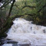 Photo of the Glengarriff river in County Cork Ireland. Pictures of Irish whitewater kayaking and canoeing. canrooska falls. Photo by dave g