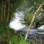 Photo of the Ilen river in County Cork Ireland. Pictures of Irish whitewater kayaking and canoeing. cascade from above. Photo by dave g
