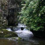 Photo of the Dargle river in County Wicklow Ireland. Pictures of Irish whitewater kayaking and canoeing. Dargle river on Low water. Photo by John Kelly