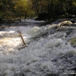  Fane River - Mill Weir / Fane River