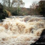 Photo of the Avonmore (Annamoe) river in County Wicklow Ireland. Pictures of Irish whitewater kayaking and canoeing. Kevin Power with plenty water. Photo by Ian