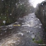 Photo of the Forkhill river in County Armagh Ireland. Pictures of Irish whitewater kayaking and canoeing. river at low water. Photo by Gerry