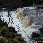 Photo of the Owbeg river in County Kerry Ireland. Pictures of Irish whitewater kayaking and canoeing. lower steps. Photo by dave g