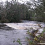 Photo of the Brosna river in County Mayo Ireland. Pictures of Irish whitewater kayaking and canoeing. First hole just after put in.. Photo by dec