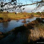 Photo of the Clare River Milltown in County Galway Ireland. Pictures of Irish whitewater kayaking and canoeing. 6/11/11. Photo by lg