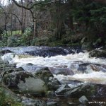 Photo of the Avonmore (Annamoe) river in County Wicklow Ireland. Pictures of Irish whitewater kayaking and canoeing. Photo by Mustang