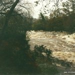 Photo of the Avonmore (Annamoe) river in County Wicklow Ireland. Pictures of Irish whitewater kayaking and canoeing. if the gauge went to 300 this is what jacksons run in would look like, nov 2000. Photo by steve fahy