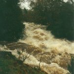 Photo of the Avonmore (Annamoe) river in County Wicklow Ireland. Pictures of Irish whitewater kayaking and canoeing. looking upstream from river right above little jacksons.300 on gauge,nov 2000. Photo by steve fahy