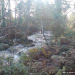 Photo of the Kip (Loughkip) river in County Galway Ireland. Pictures of Irish whitewater kayaking and canoeing. Tight boulder rapid.. Photo by Seanie